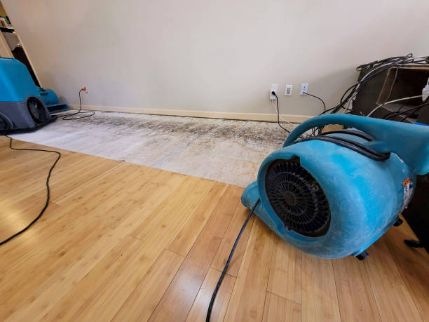 Professional Burst Pipe Water Damage technician working in Fort Dick, CA
